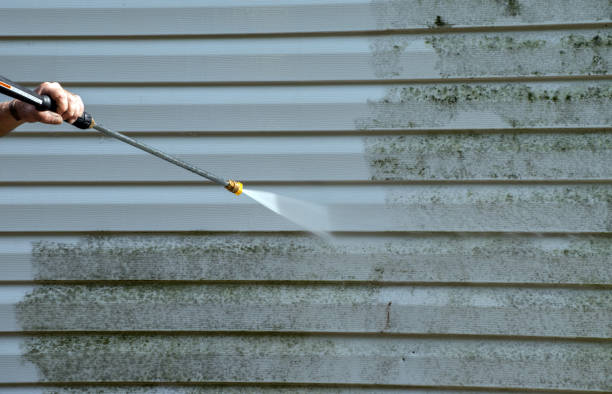 Best Building Exterior Washing  in Montrose, NY